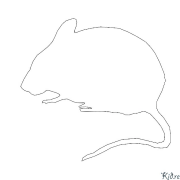 mouse Coloring Pages To Print